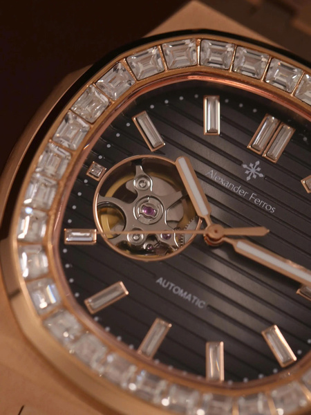 Alexander Ferros 6091R/01