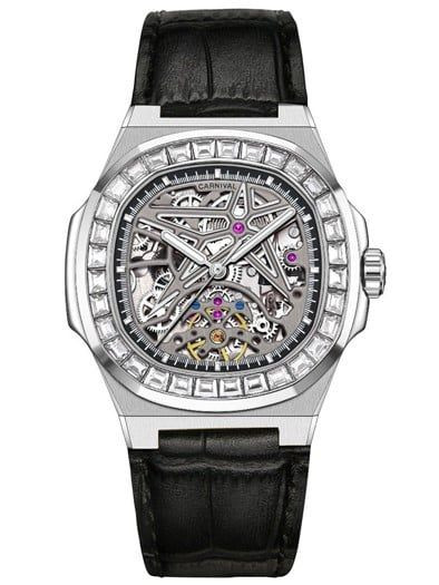 CARNIVAL 8118G2-VT-DD-T