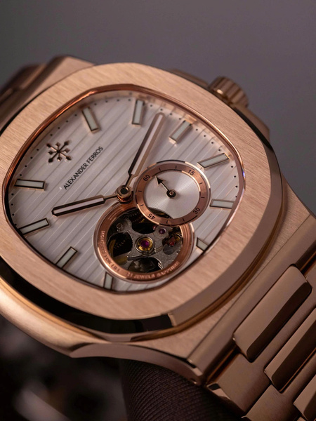 Aexander Ferros 6312R/02