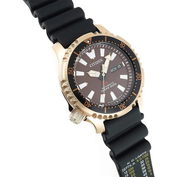 Đồng Hồ Nam Chính Hãng CITIZEN Promaster NY0083-14X