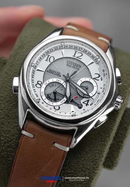 Citizen Eco-Drive BL9000 