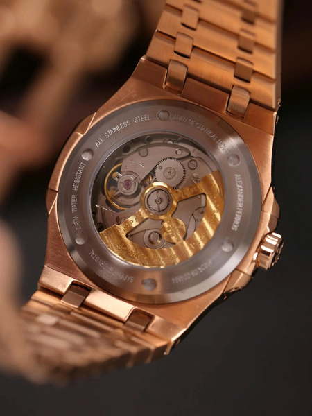 Alexander Ferros 6091R/01