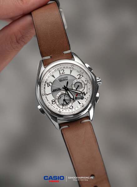 Citizen Eco-Drive BL9000 