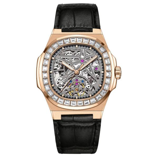 Carnival 8118G2-VH-DD-T