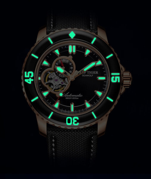  Đồng hồ nam chính hãng Reef Tiger RGA3039-2