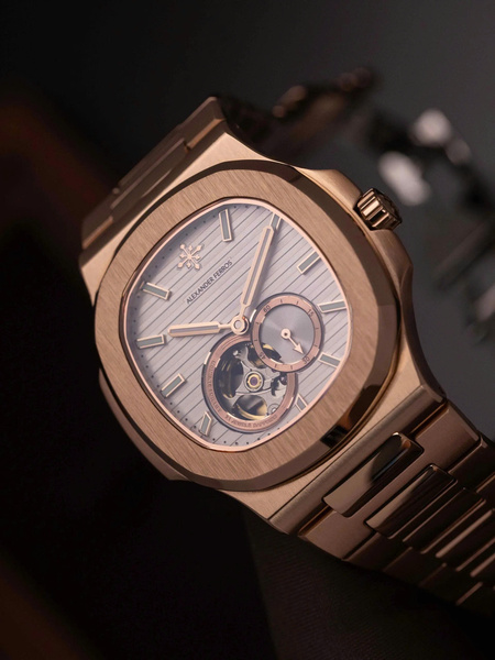 Aexander Ferros 6312R/02