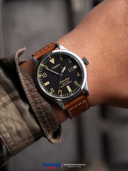GS-000356 ( TIMEX TW2P84000 )
