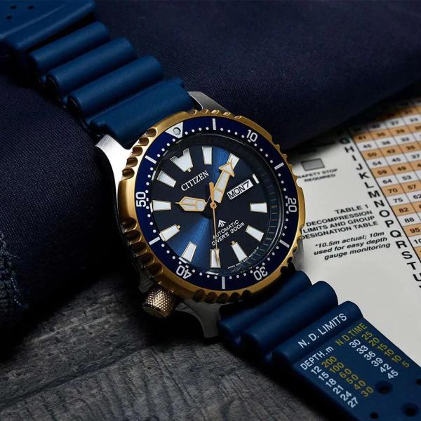 Đồng Hồ Nam Chính Hãng CITIZEN Promaster NY0096-12L