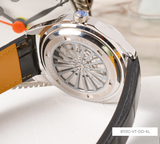 CARNIVAL 8113G2-VT-DD-XL