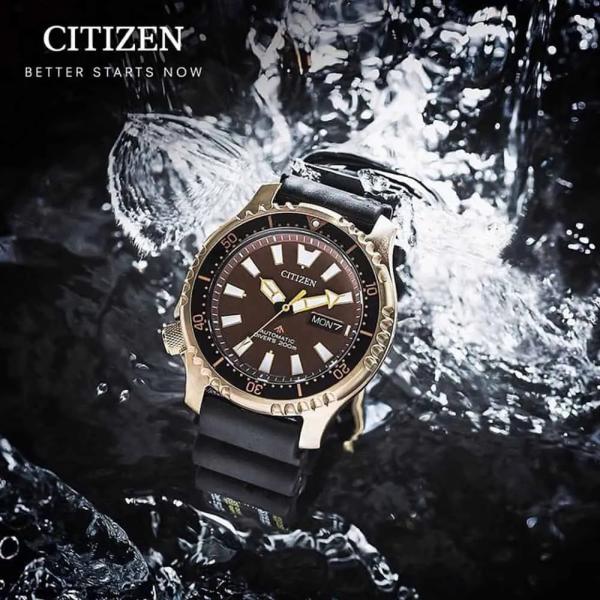 Đồng Hồ Nam Chính Hãng CITIZEN Promaster NY0083-14X