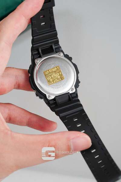 GS-000222 ( Casio G-Shock DW-5600RW-1A )