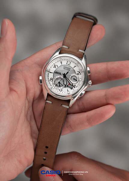 Citizen Eco-Drive BL9000 