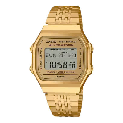 CASIO ABL-100WEG-9A