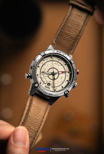 Timex Compass T2N721