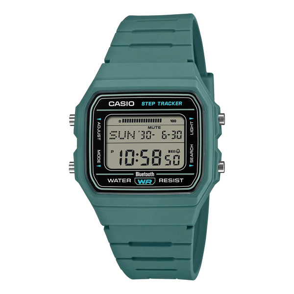 CASIO F-B100W-3A