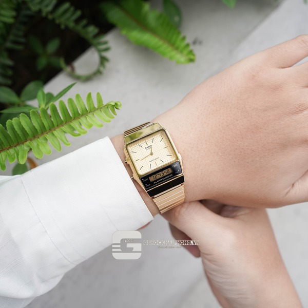 CASIO VINTAGE AQ-800EG-9A