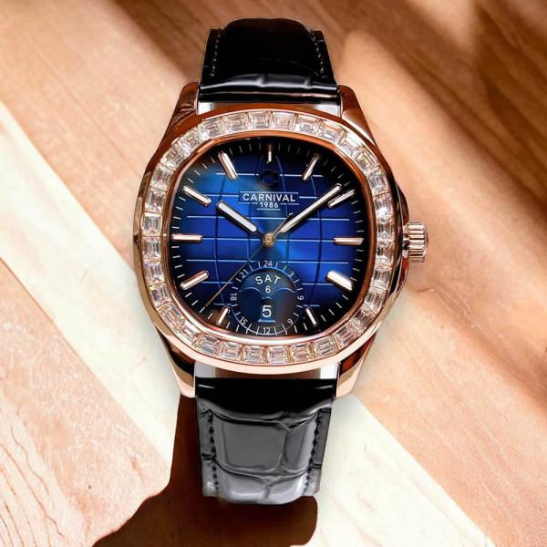 CARNIVAL 8113G2-VH-DD-X