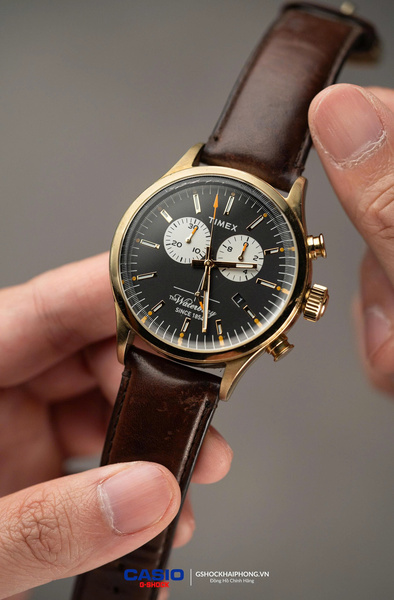 Timex The Water Bury Vintage TW2P75300 