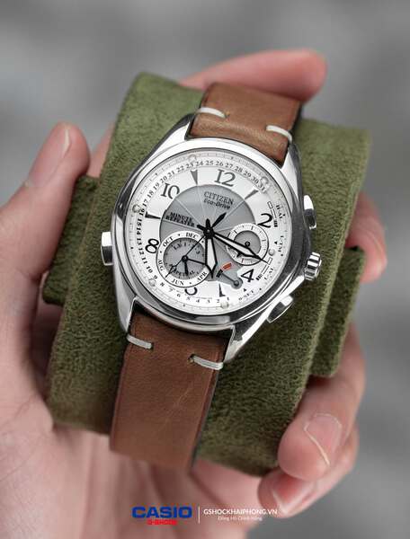 Citizen Eco-Drive BL9000 
