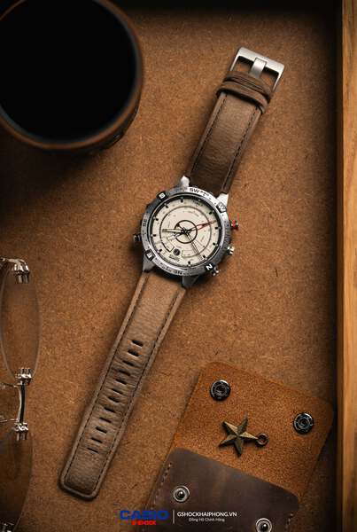 Timex Compass T2N721